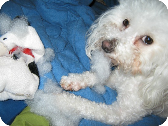 Deliaand+snoopy1