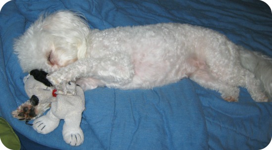 delia+and+snoopy+sleep2