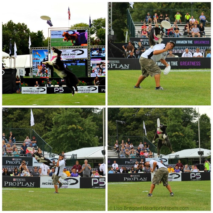Flying-Disc-IDC-2013-Jason-Rigler-and-Kai