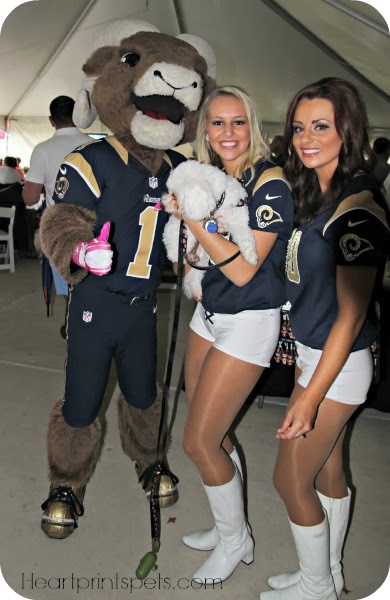 Delia Rampage and Rams Cheerleaders