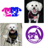 Introducing PupScouts Troop 314