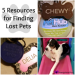 5 Resources for Finding Lost Pets