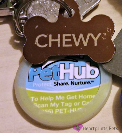 Digital ID tag and Name ID Tag for Dogs