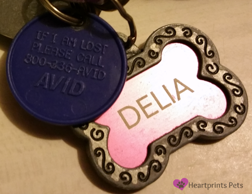 AVID Microchip tag and dog name ID tag