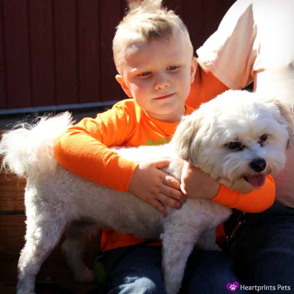 chewy-and-friend-on-hayride