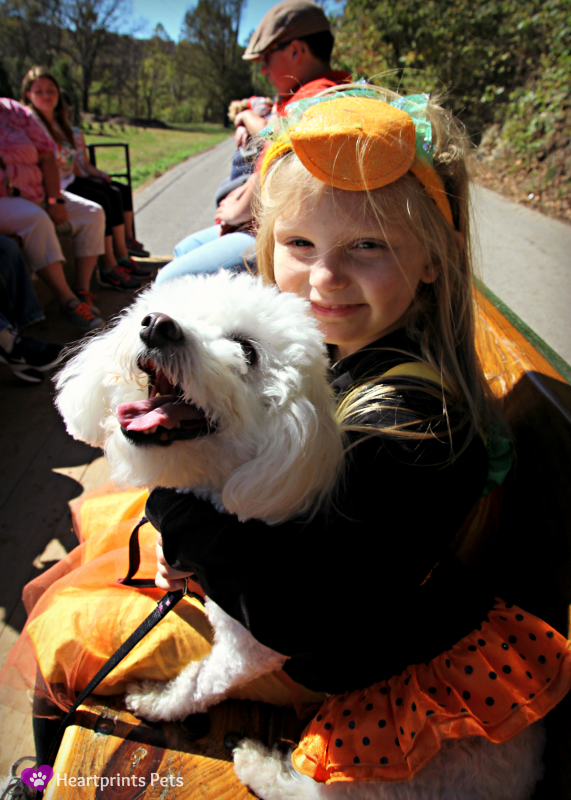 Dog Friendly Hay Ride