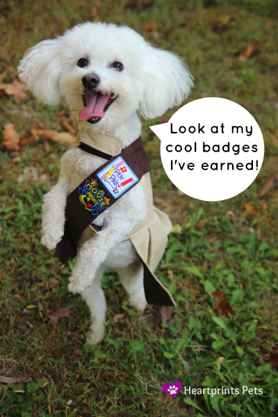 Delia's PupScout Badges
