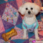Happy 7th Birthday Delia!
