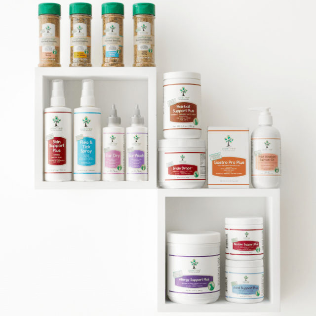 Customized holistic pet nutrition with pawtree Customized holistic pet nutrition with pawtree