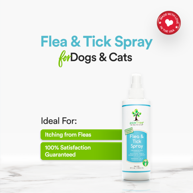 How We Battle Fleas and Ticks Naturally Without Harmful Pesticides ...